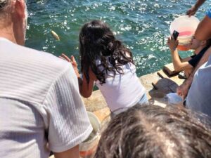 Muğla’nın Köyceğiz ilçesinde Göl’e yavru balık bırakma töreni yapıldı. Muğla