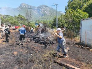 Muğla’nın Menteşe ilçesinde zirai alanda çıkıp ormana sıçrayan yangını söndürme