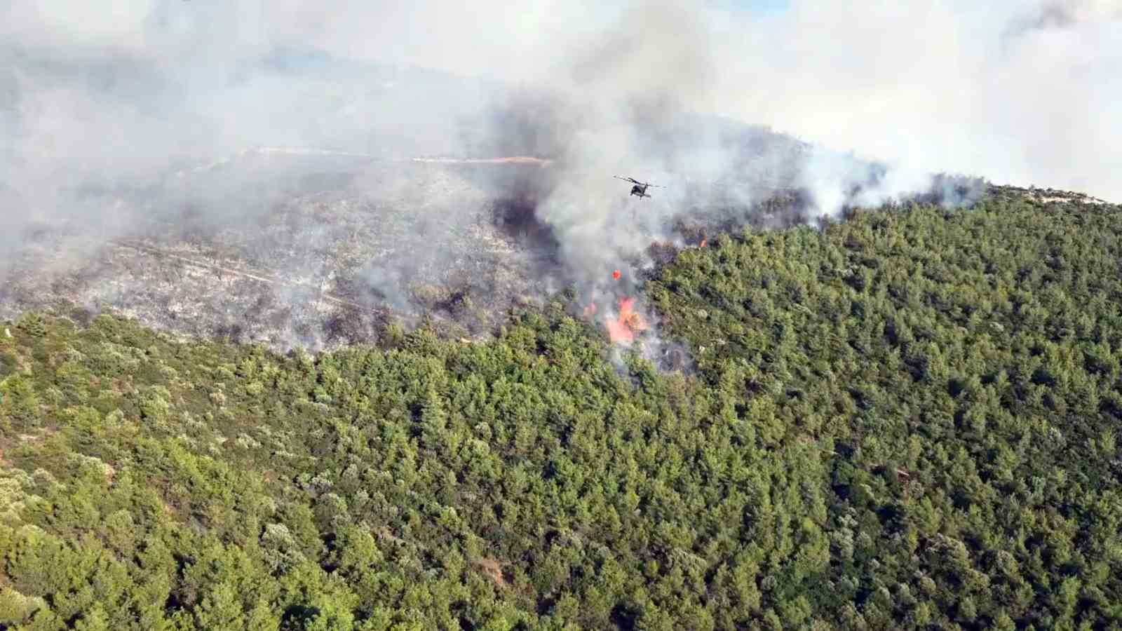 Muğla’nın Milas ilçesinde ormanlık alanda çıkan yangına ekiplerin havadan ve
