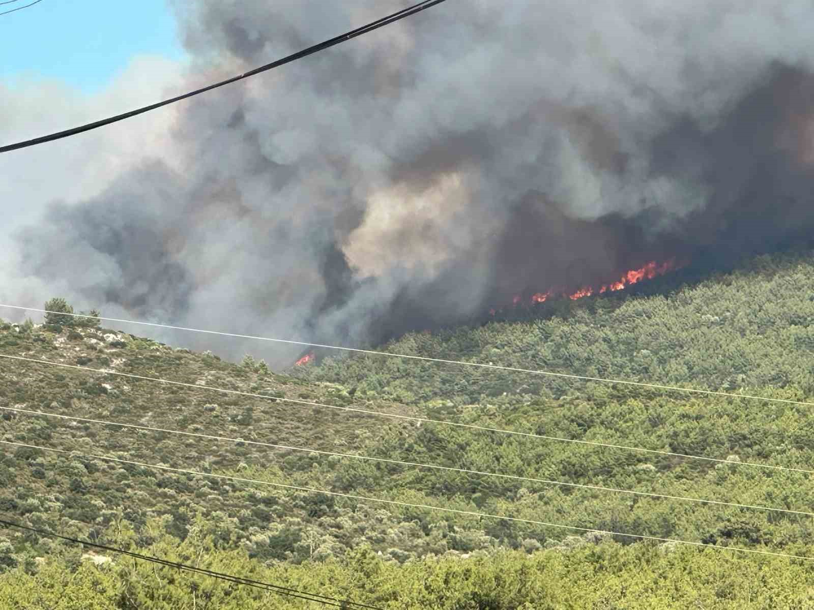 Muğla’nın Milas ilçesinde ormanlık alanda çıkan yangına ekiplerin havadan ve