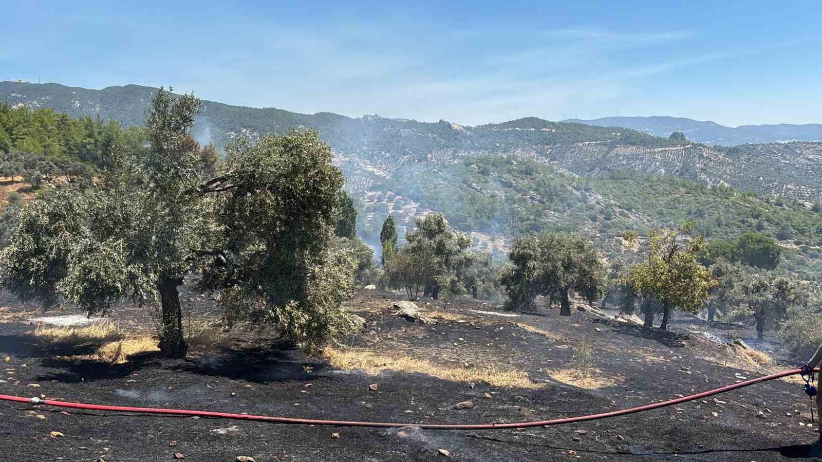 Milas ilçesine bağlı Narhisar Mahallesi’nde ziraat alanında çıkan yangın, ekiplerin