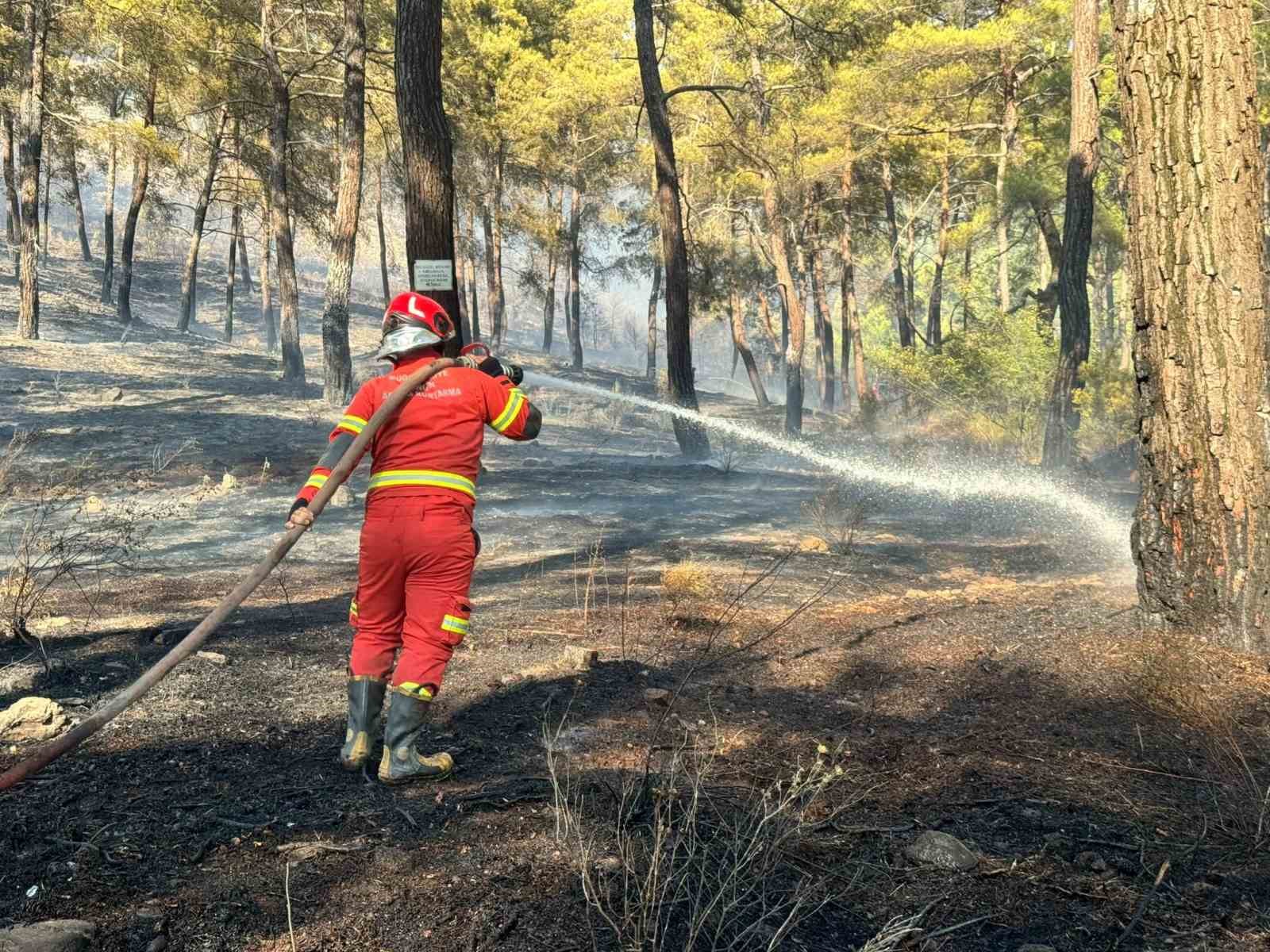 Muğla’nın Ortaca ilçesinde ormanlık alanda çıkan yangına ekiplerin havadan ve