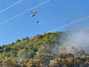 Muğla’nın Ortaca ilçesinde çıkan orman yangını ekiplerin havadan ve karadan