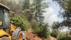 Muğla’nın Bodrum ilçesinde otluk alanda başlayıp rüzgarın etkisiyle ormanlık alana