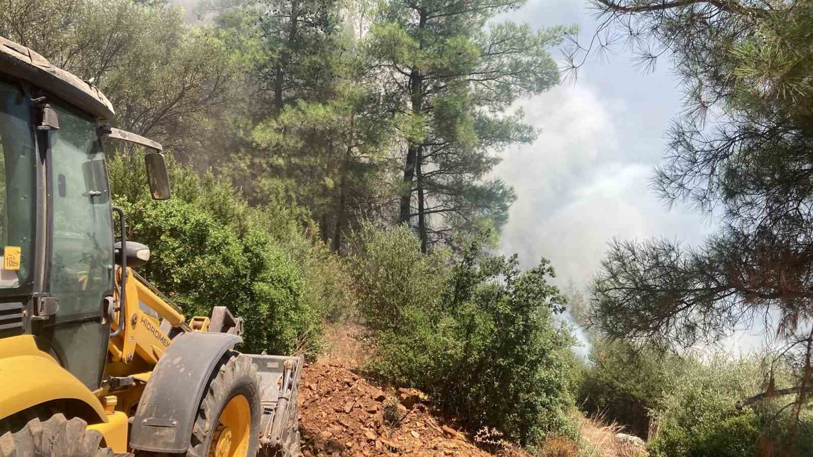 Muğla’nın Bodrum ilçesinde otluk alanda başlayıp rüzgarın etkisiyle ormanlık alana