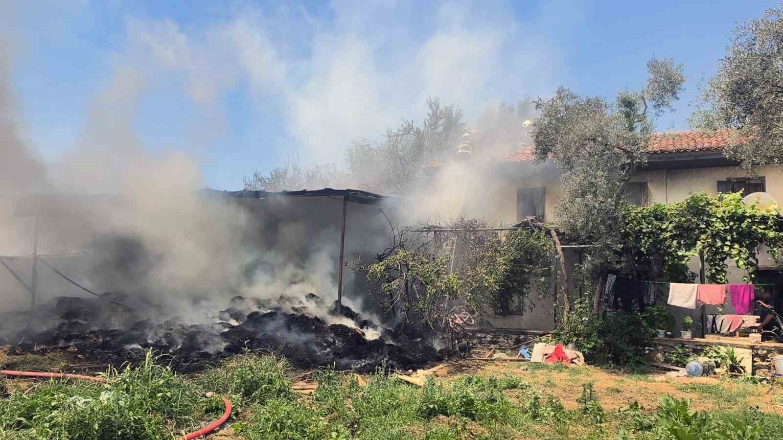 Muğla’nın Menteşe ilçesi Orhaniye Mahallesi Kadı Kahvesi Bağlarbaşı mevkisinde bahçede