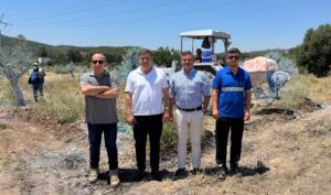 Yeniköy Kemerköy Enerji’nin bilimsel yöntemlerle yeni yaşam alanlarına taşıdığı zeytin