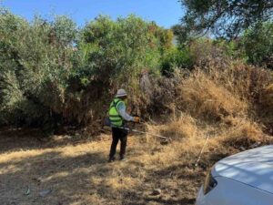 Bodrum Belediyesi, ilçe genelinde yangın riskinin azaltılması, çevre düzeninin sağlanması