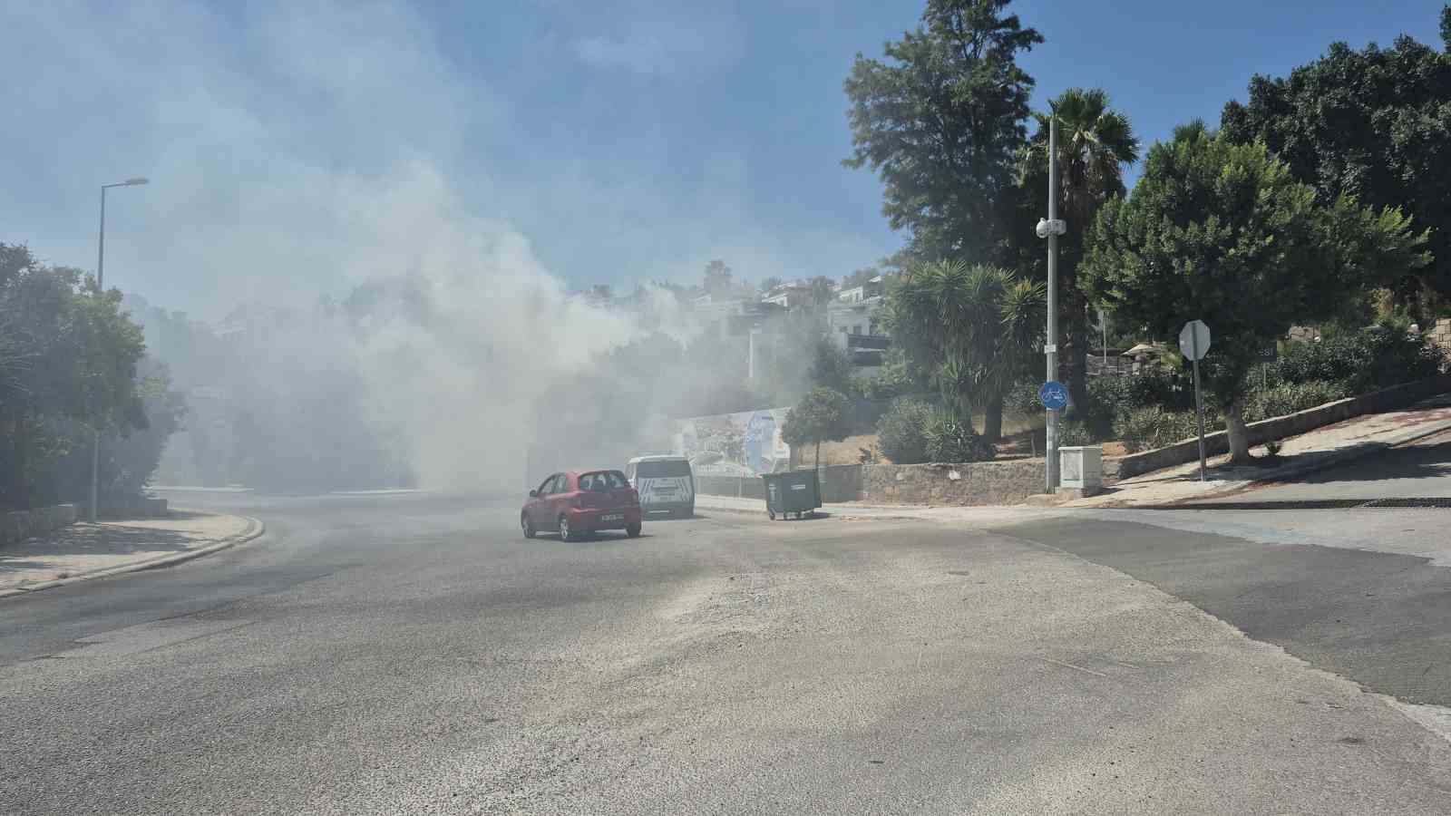 Muğla’nın Bodrum ilçesinde bir sitenin kenarındaki otluk ve ağaçlık alanda