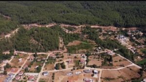 Muğla’nın Marmaris ilçesine bağlı 21 kilometre mesafedeki Çetibeli mahallesinde orman