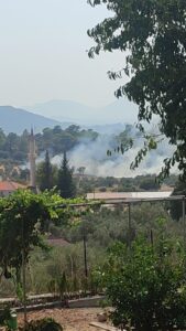 Muğla’nın Dalaman ilçesinde çıkan orman yangını ekiplerin havadan ve karadan