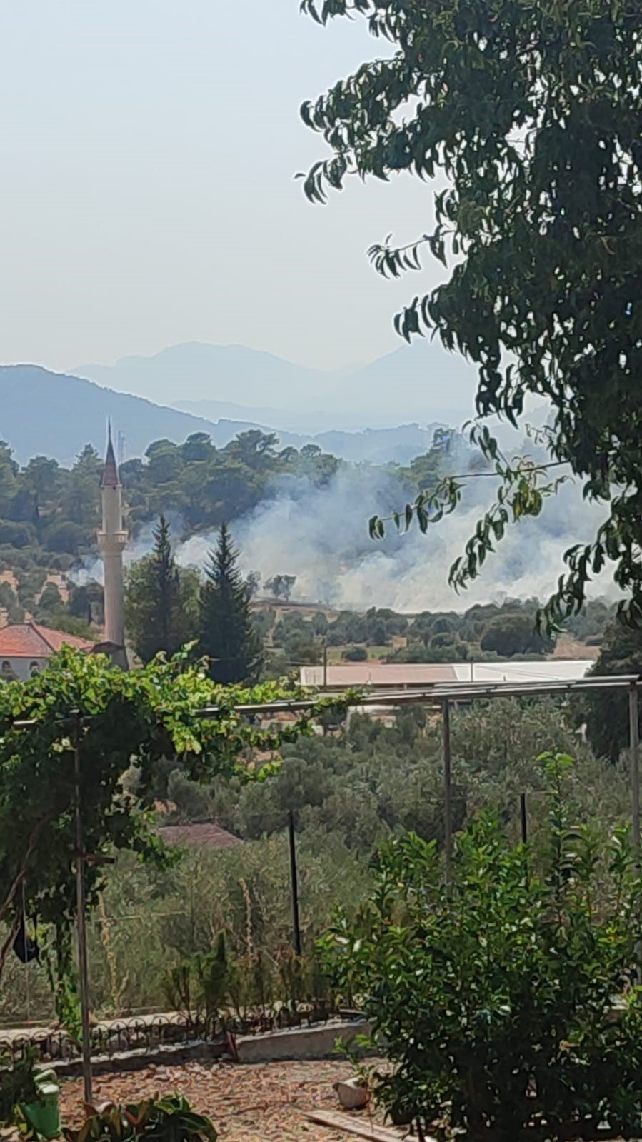Muğla’nın Dalaman ilçesinde çıkan orman yangını ekiplerin havadan ve karadan
