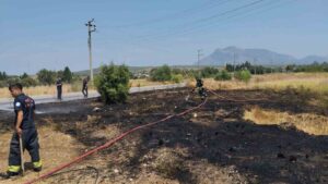 Muğla’nın Datça ilçesinde yerleşim alanına yakın noktada çıkan kuru ot