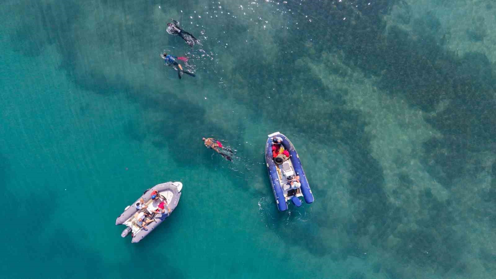 Bodrum Belediyesi tarafından "Denize En Çok Mavi Yakışır" sloganıyla başlatılan