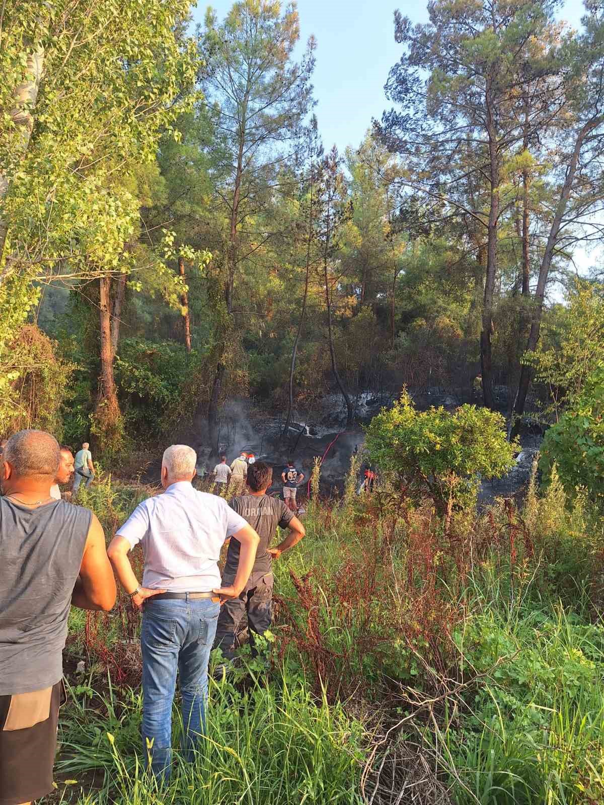Muğla’nın Köyceğiz ilçesinde otluk alanda başlayan ve ormana sıçrayan yangın,