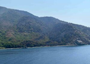 Muğla’nın Marmaris ilçesinde çıkan orman yangını kontrol altına alındı. Edinilen