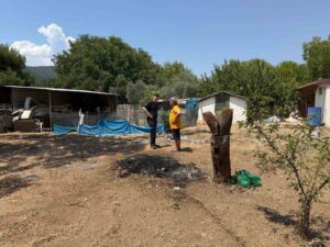 Muğla’nın Menteşe ilçesinde müstakil bir evin bahçesinde öğle saatlerinde çıkan