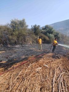 Muğla’nın Milas ilçesine bağlı Bafa Mahallesi’nde tarım arazisinde çıkan yangın,