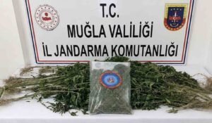 Muğla İl Jandarma Komutanlığı ekiplerinin Temmuz ayı boyunca uyuşturucuyla mücadele