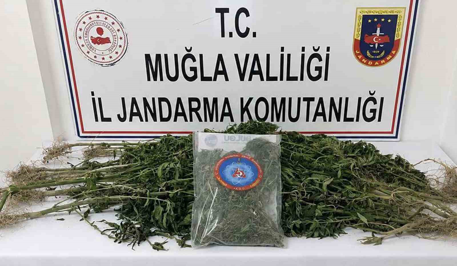 Muğla İl Jandarma Komutanlığı ekiplerinin Temmuz ayı boyunca uyuşturucuyla mücadele