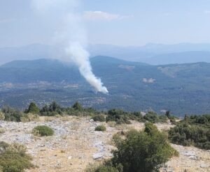 Muğla’nın Menteşe ilçesinde makilik ve ormanlık bölgede çıkan yangını söndürme