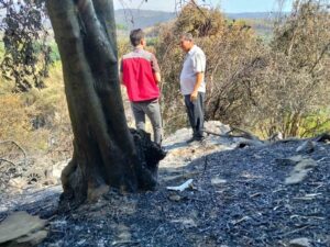 Muğla’da Temmuz ayında farklı tarihlerde meydana gelen orman yangınlarının ardından,