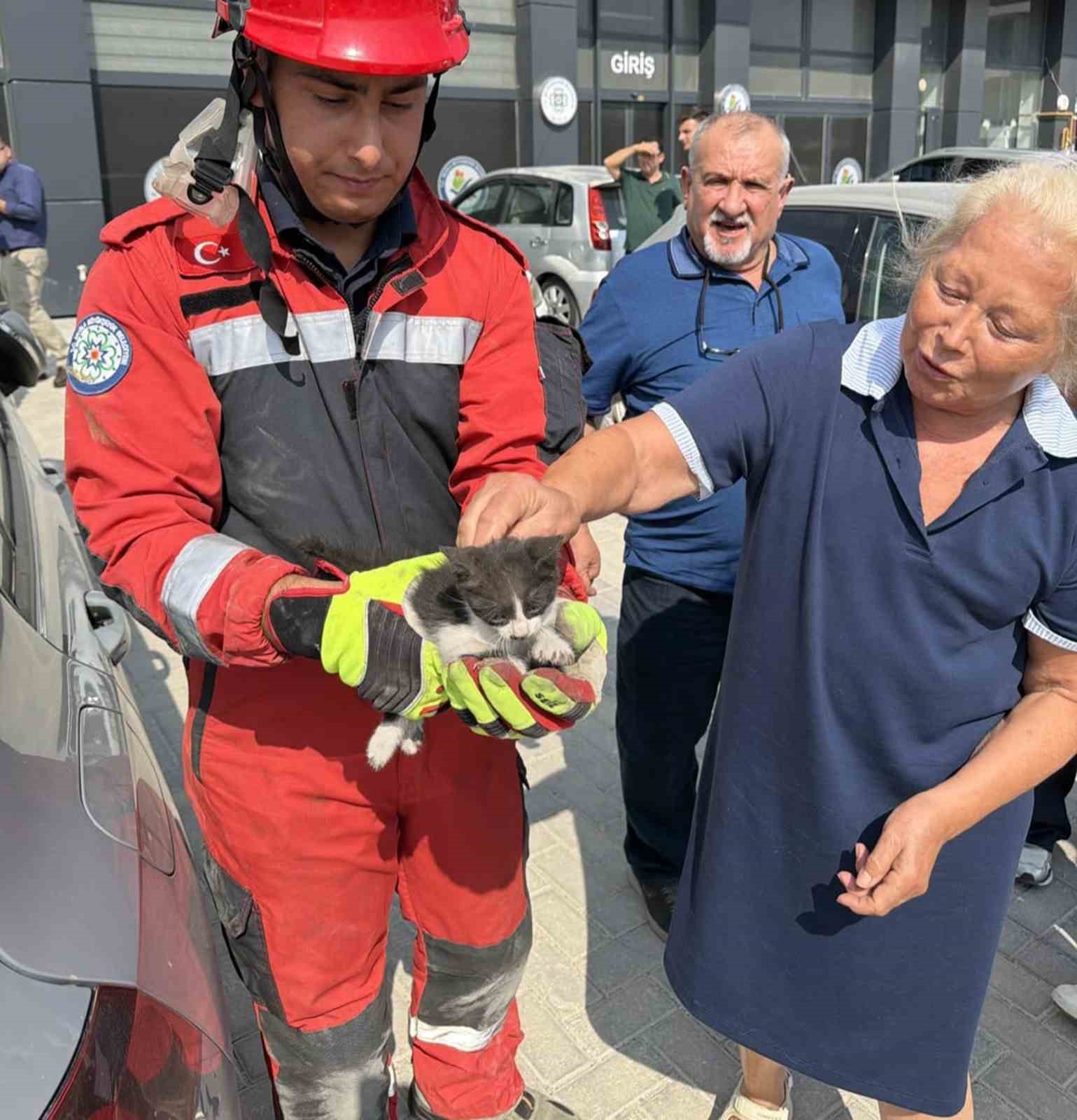 Muğla’nın Menteşe ilçesinde otomobilin motor giren ve sıkışan kedi, itfaiye