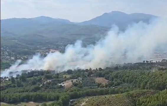 Muğla’nın Seydikemer ilçesinde çıkan orman yangınında ekipler alevleri kontrol altına