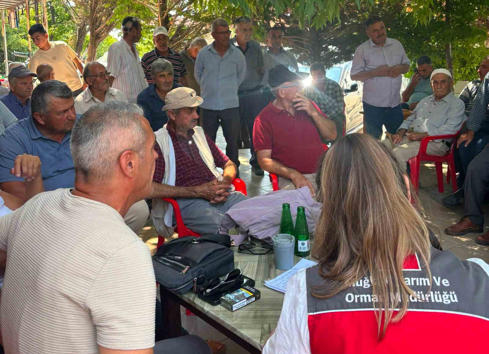 Muğla’nın Seydikemer ilçesine bağlı Arsa Mahallesi’nde elma, bağ ve zeytin