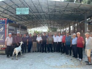 Muğla’nın Seydikemer ilçesinde orman yangınlarında hayvanları telef olan vatandaşların yaraları