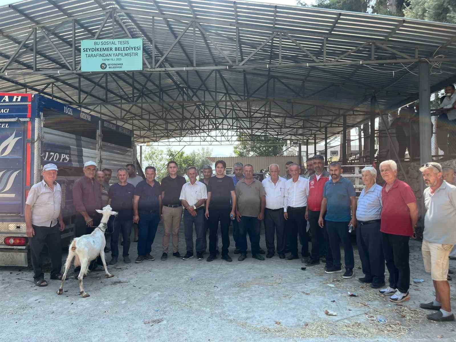 Muğla’nın Seydikemer ilçesinde orman yangınlarında hayvanları telef olan vatandaşların yaraları