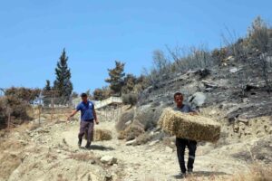 Muğla Büyükşehir Belediyesi, Muğla’nın Seydikemer ilçesinde 29 Temmuz’da meydana gelen