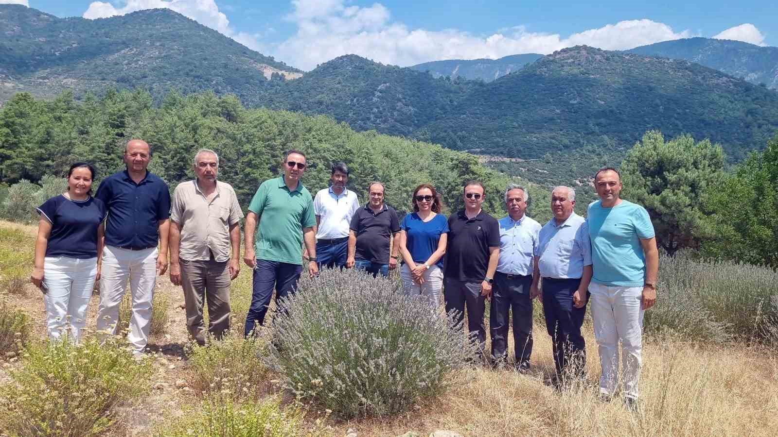 Muğla Vali Yardımcısı Halil Serdar Cevheroğlu, Muğla Tarım ve Orman