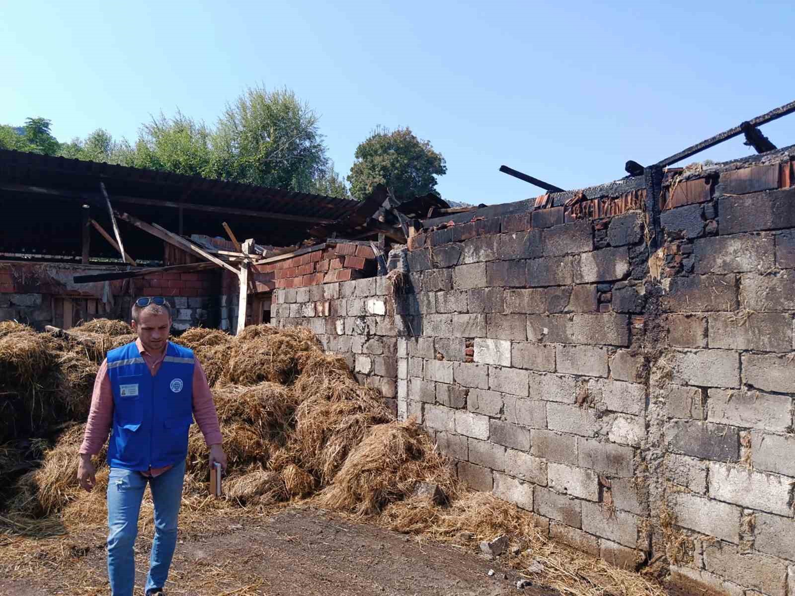 Muğla Büyükşehir Belediyesi, Ortaca’nın Okçular Mahallesi’nde meydana gelen ahır yangınında