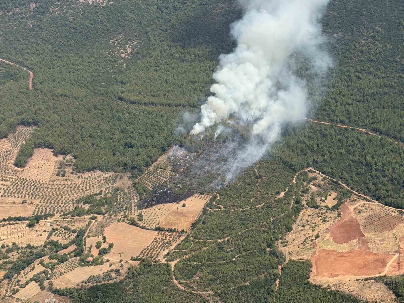 Muğla’nın Yatağan ilçesinde zirai alanda çıkan yangın ormanlık alana sıçrarken,