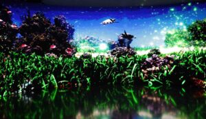Muğla Büyükşehir Belediyesi ile Sürdürülebilirlik İçin Yerel Yönetimler Ağı ICLEI