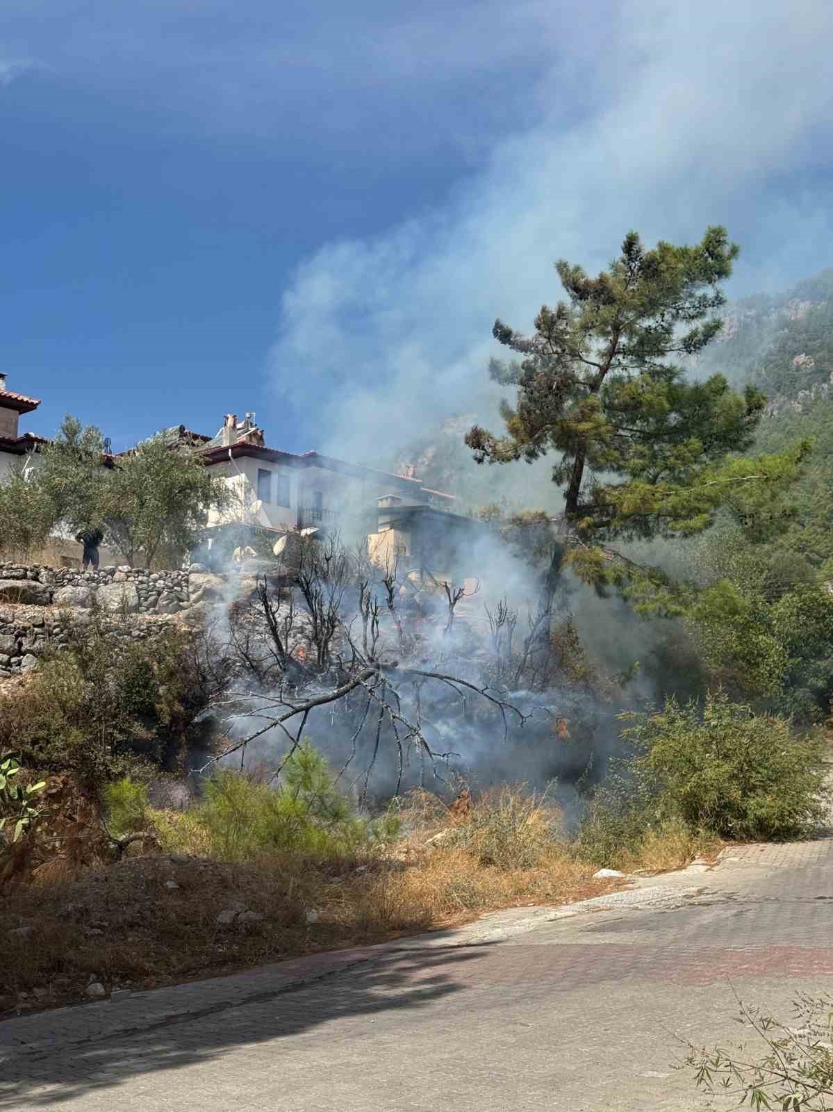 Muğla’nın Ula ilçesine bağlı Akyaka Mahallesi’nde evlerin yakınında bulunan zeytinlik