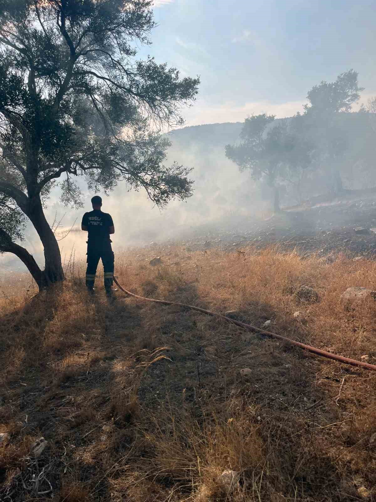 Bodrum-Milas karayolu Kemikler Mahallesinde arazide başlayan ot yangını ekiplerin zamanında