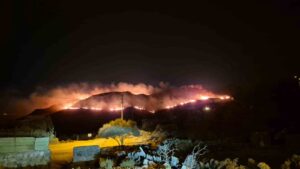Muğla’nın Bodrum ilçesinde akşam saatlerinde otluk ve makilik alanda çıkan