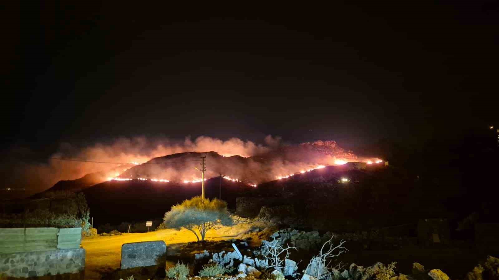 Muğla’nın Bodrum ilçesinde akşam saatlerinde otluk ve makilik alanda çıkan