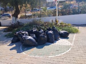 Bodrum Belediyesi, ilçe genelinde yangın riskinin azaltılması, çevre düzeninin sağlanması