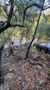 Muğla’nın Dalaman ilçesi Bozbel mevkisinde gece saatlerinde başlayan orman yangını,
