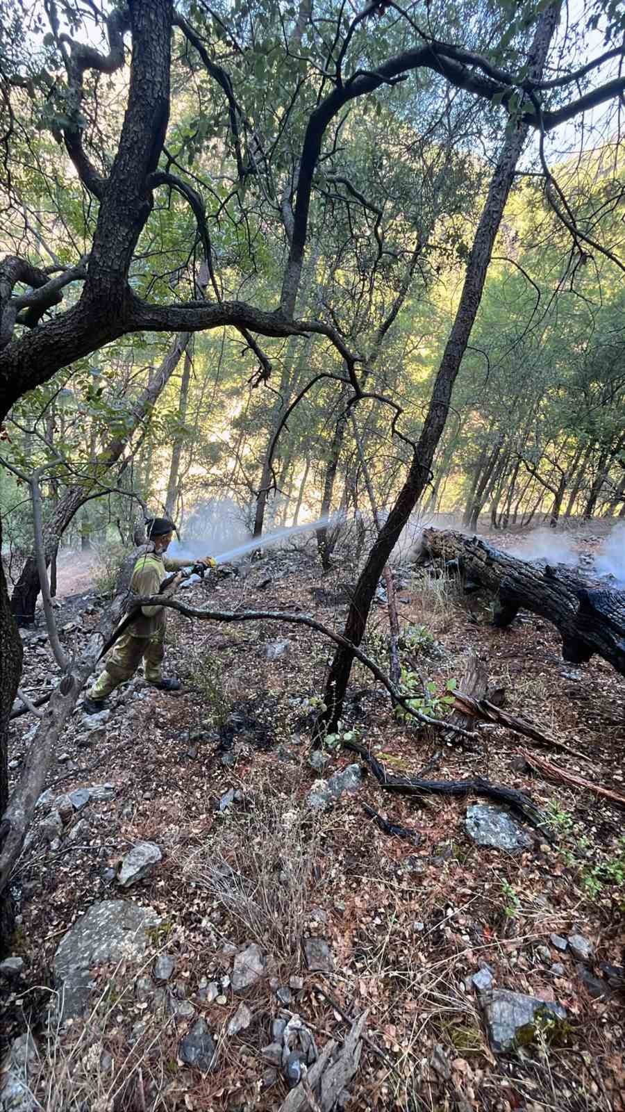 Muğla’nın Dalaman ilçesi Bozbel mevkisinde gece saatlerinde başlayan orman yangını,