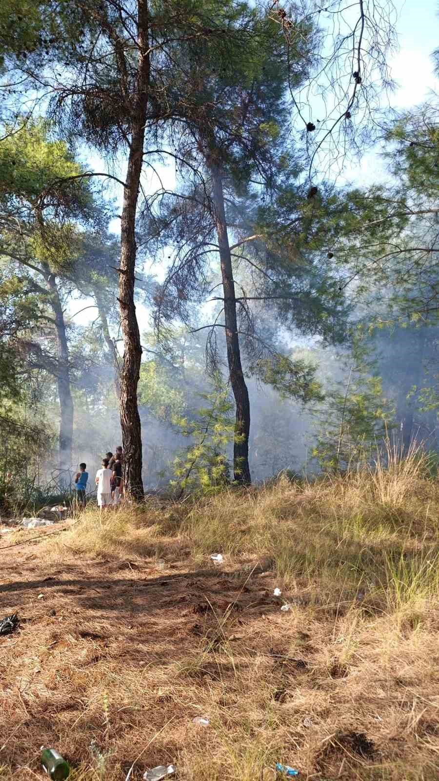 Muğla’nın Köyceğiz ilçesinde ormanlık alanda çıkan yangın, ekiplerin hızlı müdahalesiyle