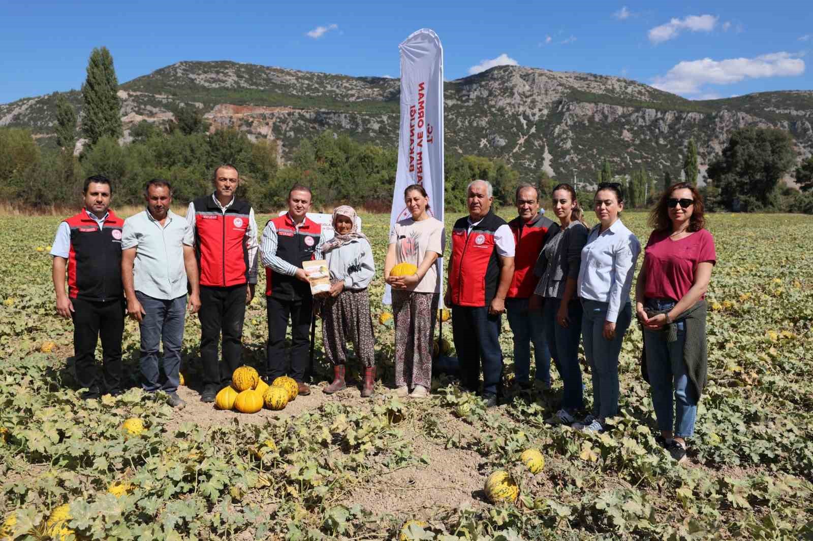 Muğla’nın Menteşe ilçesinde, yöreye özgü Yayla kavunu ile Ata tohumlarından