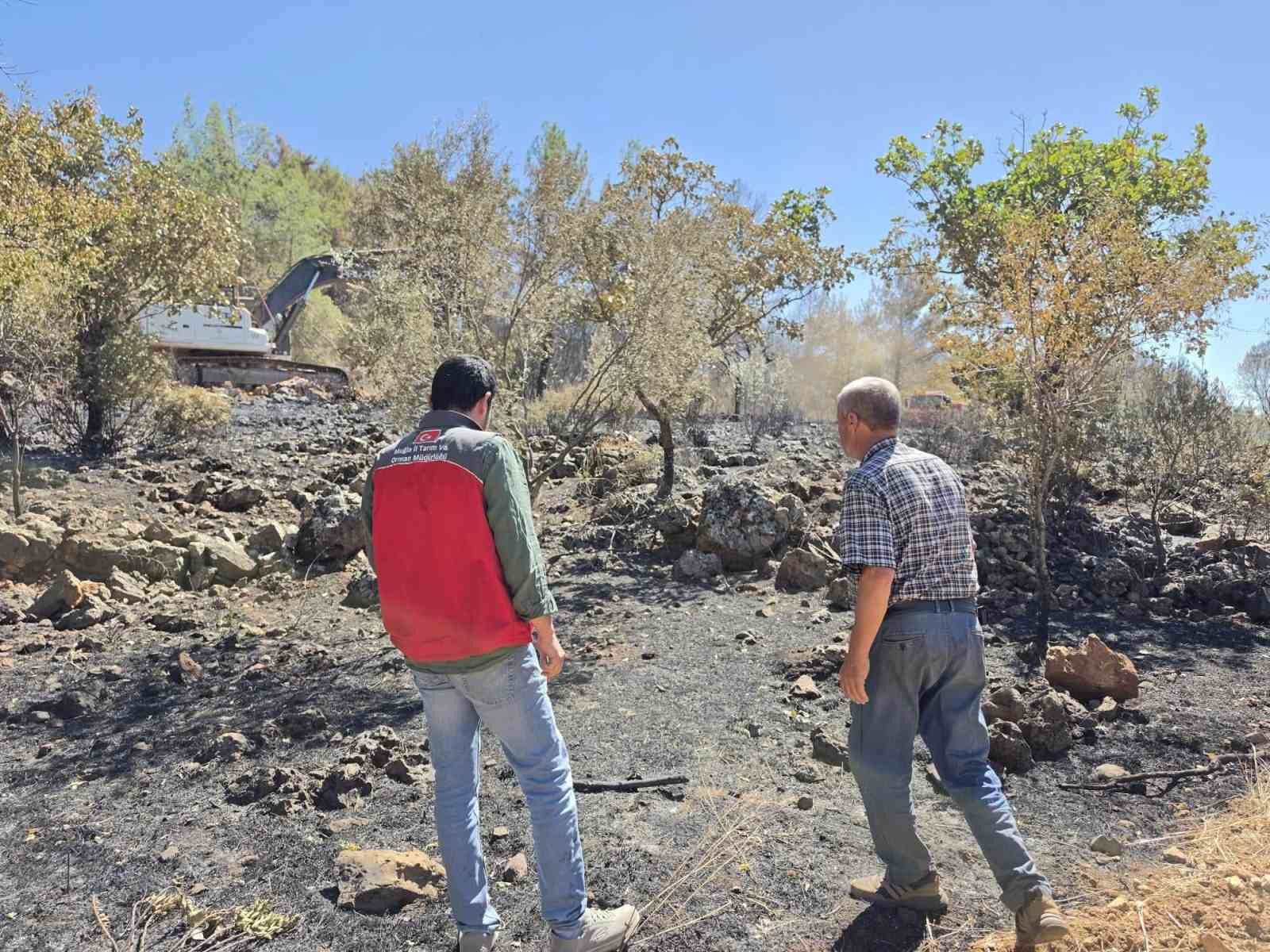Menteşe İlçe Tarım ve Orman Müdürlüğü ekipleri, Yaraş Mahallesi’nde meydana