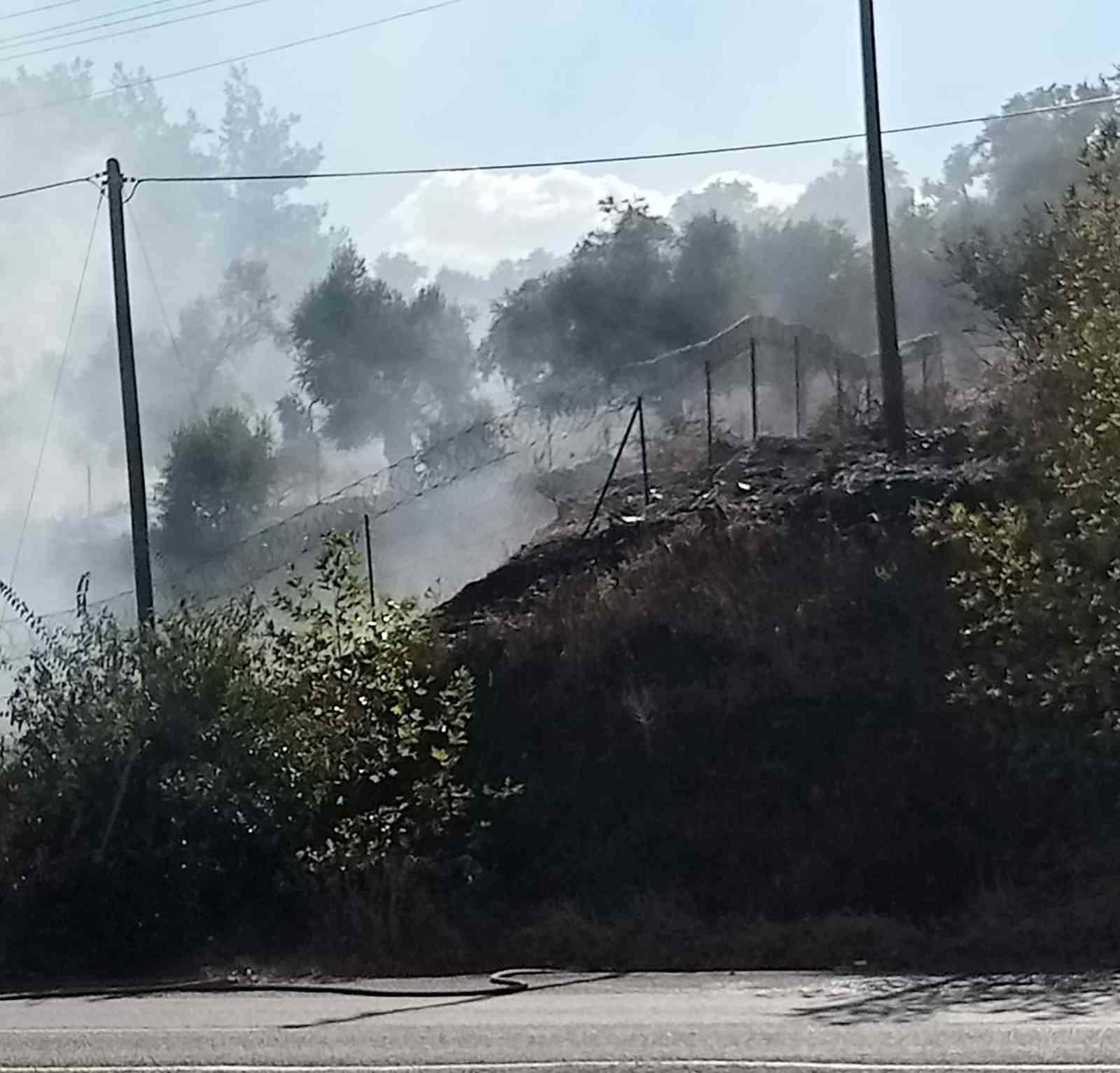 Milas-Söke Karayolu Selimiye mahalle sınırlarında karayolu kenarında başlayan otluk yangını