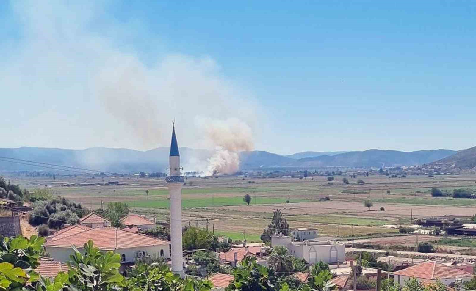 Muğla’nın Milas ilçesi Yaşyer Mahallesinde sazlık ve otluk alanda başlayan