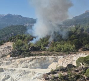 Muğla’nın Milas ilçesinde ormanlık alanda çıkan yangını söndürmek için ekipler