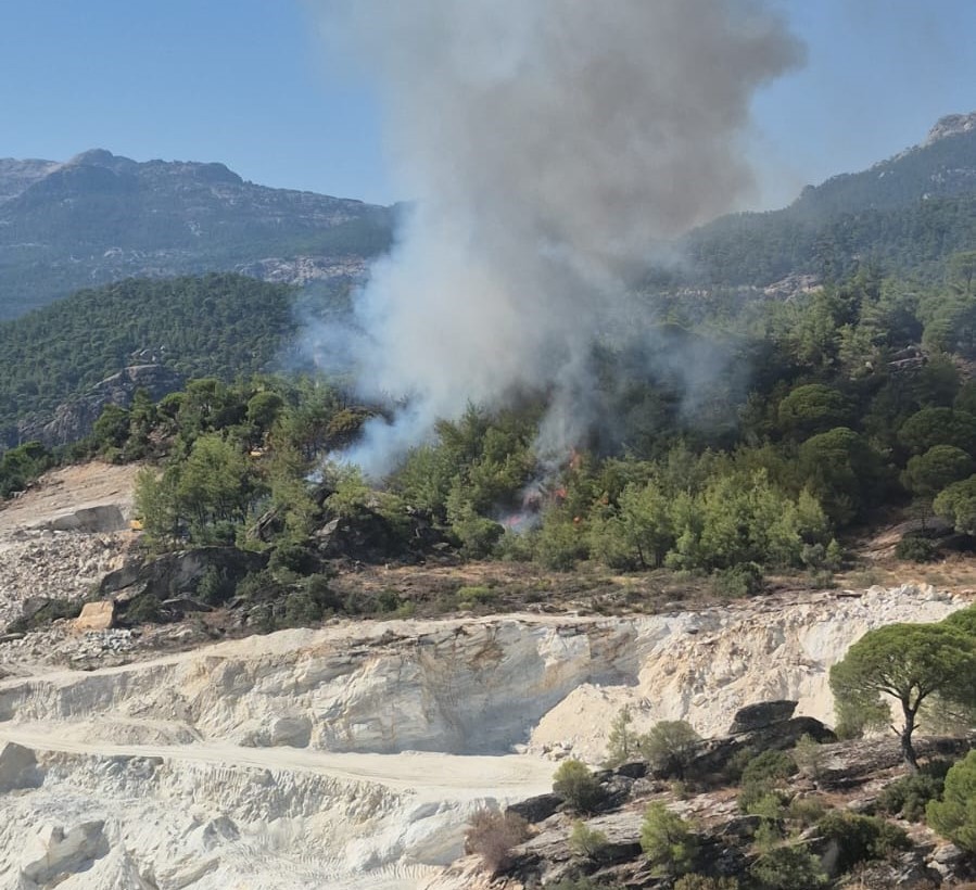 Muğla’nın Milas ilçesinde ormanlık alanda çıkan yangını söndürmek için ekipler